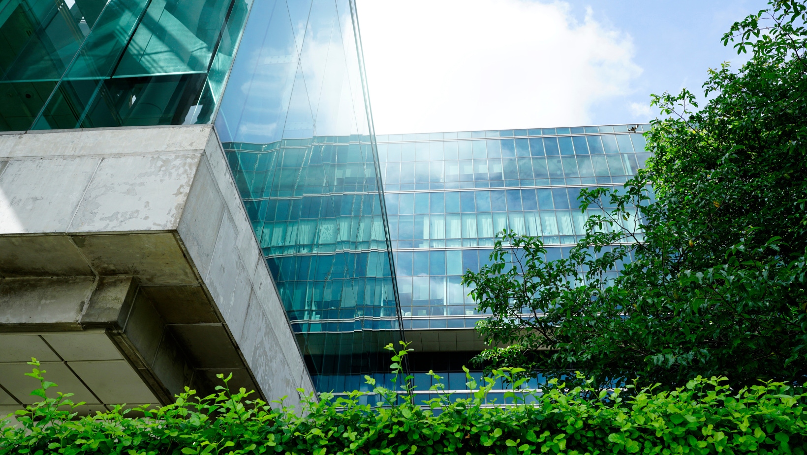 Stock image showing an office building surrounded by trees and plants for sustainability